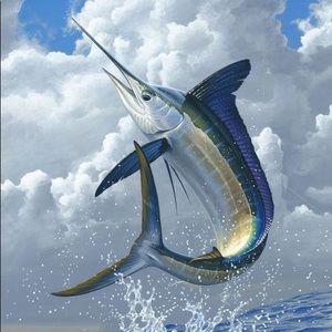 Meet your Posher, Nathan